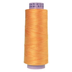 Efektgarn Overlock Silk Finish Cotton Multi 2743 m