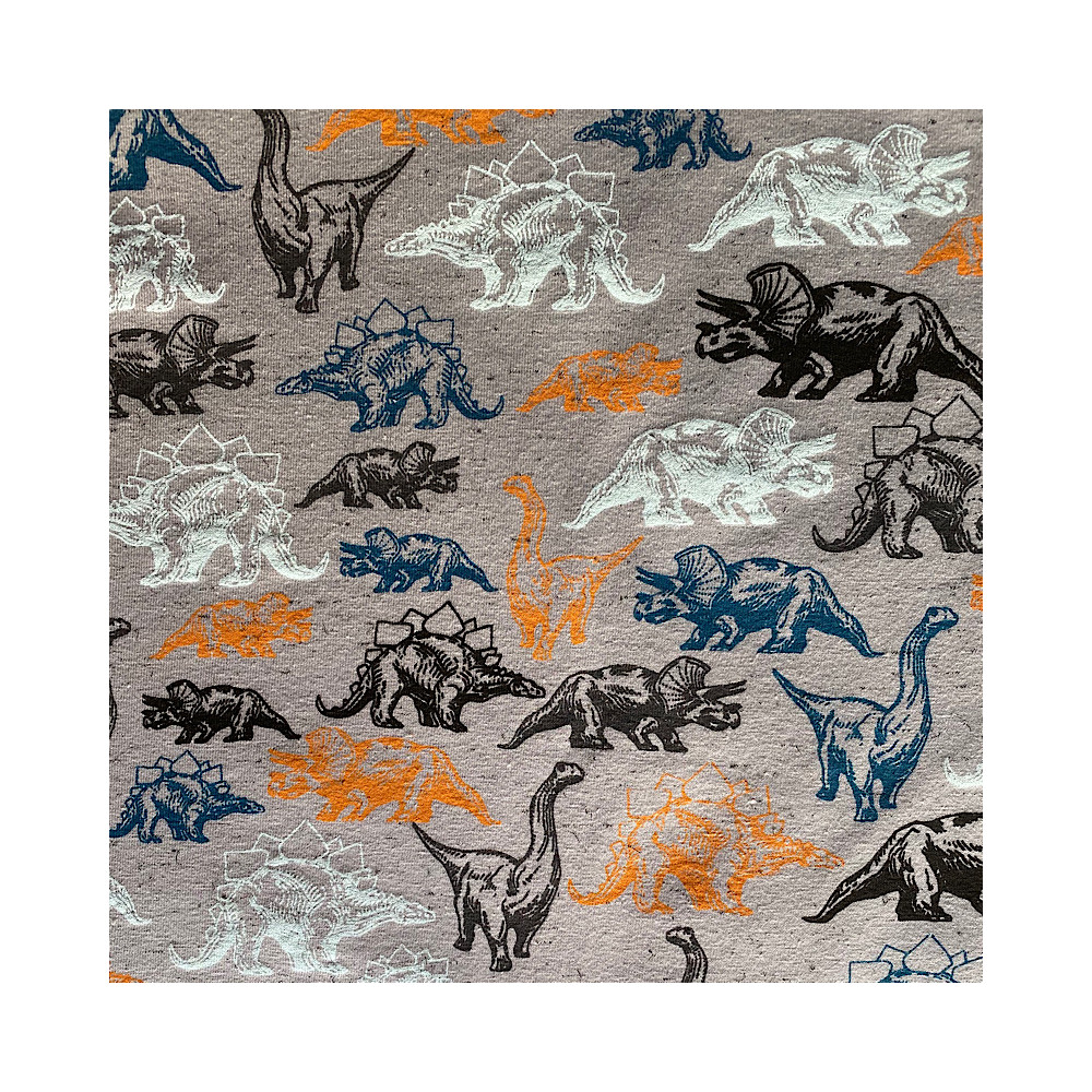 Jersey Dinosaurier grau Jersey Dinosaurier grau