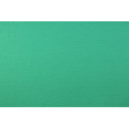 Jersey Meeresgrünl - hochwertiger Baumwolljersey mit Elastan | 69 Farben